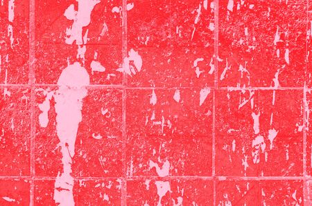 abstract red, pink and coral colors background for design.の写真素材