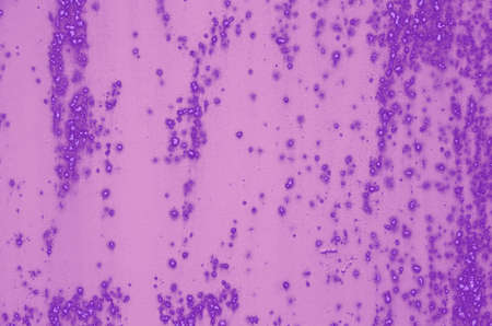 abstract violet; pink and purple colors background for design.