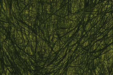abstract black and dark green colors background for design.