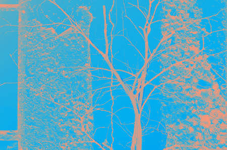 abstract coral and blue color texture background with copy space for design.