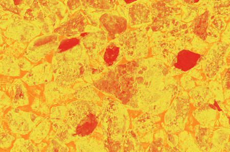 abstract yellow, orange and red colors background for design.