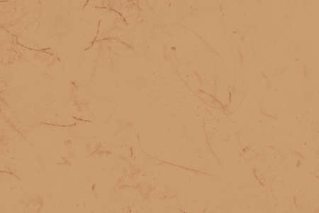 abstract brown color background for design. cocoa backdrop.の写真素材