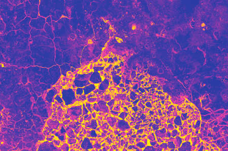 abstract pink, yellow, violet, purple and blue colors background for design.