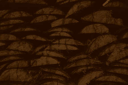 abstract brown grunge background for design.