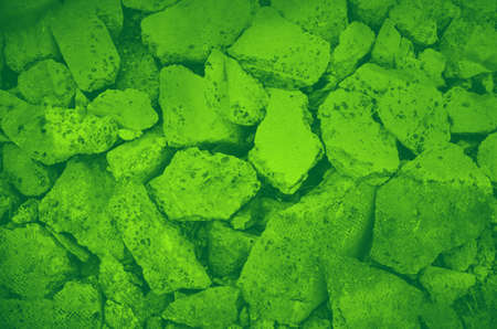 abstract green bright color background for design.の写真素材