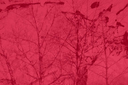 abstract bright pink and red colors background for design.の写真素材