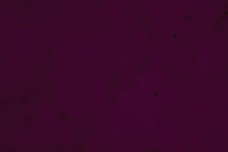 abstract dismal dark purple and burgundy colors background for design.の写真素材