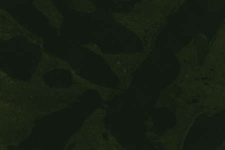 abstract black and dark green colors background for design.
