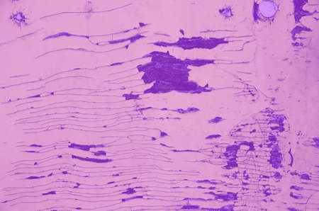 abstract violet; pink and purple colors background for design.
