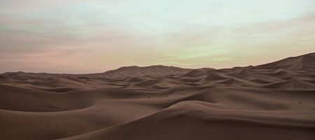 Evening desert landscape.の写真素材