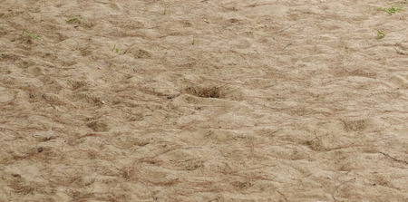 The sand wild beach.