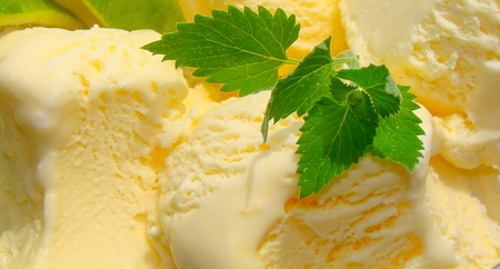 Ice cream cream with mint leaves.の写真素材
