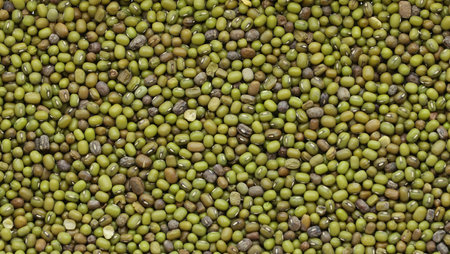 Scattered grains of raw mung plantの写真素材