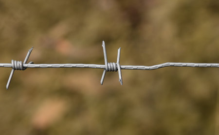 Metallic military wire on a blurred background.の写真素材