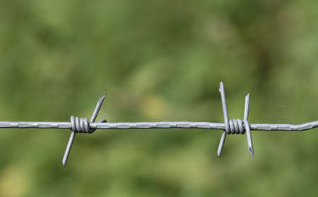 Metallic military wire on a blurred background.の写真素材