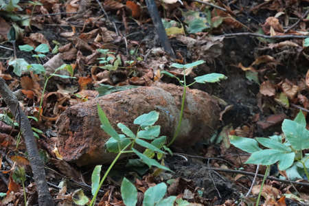 A military shell from a cannon rotted in the ground.の写真素材