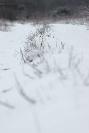Snow covered road in the countryside.の写真素材