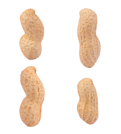 Peanuts collection isolated on the white backgroundの写真素材