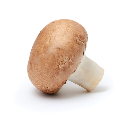 Champignon mushroom isolated on white backgroundの写真素材