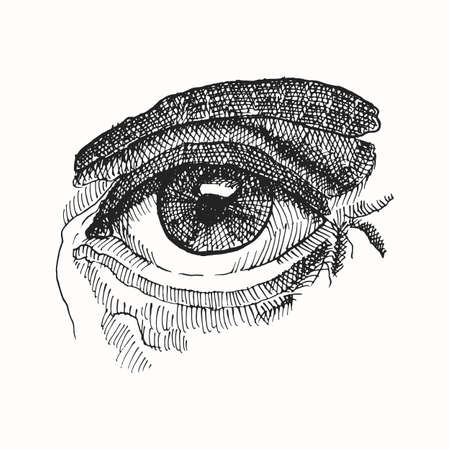 Woman eye hand drawn sketch. Vector illustration.のイラスト素材