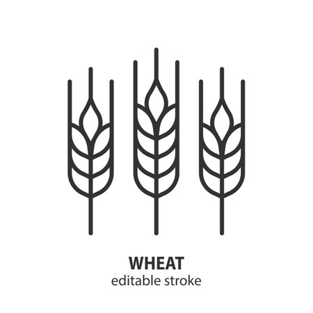 Wheat ear line icon. Barley outline vector sign. Editable stroke.のイラスト素材