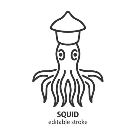 Squid line icon. Sea food outline vector symbol. Editable stroke.のイラスト素材