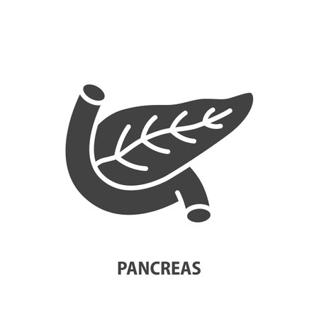 Pancreas glyph icon. Human internal organ. Vector illustration.のイラスト素材