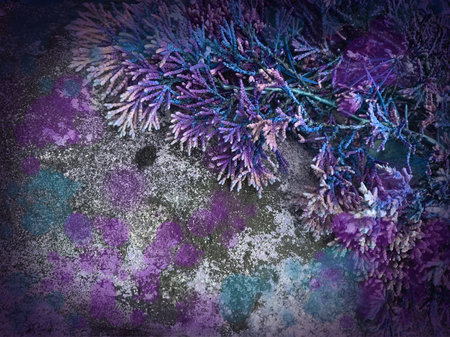 Photography of natural materials. Stone, moss, plant leaves. Background in turquoise and purple tones. Colorful leaf pattern and embossed stone texture.の写真素材