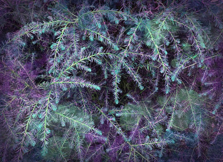 Photo background natural materials. beautiful textures of stones, leaves, trees, grass and moss. Bright turquoise-lilac range. Magic atmosphere of the forest, fairy tales and magic.の写真素材