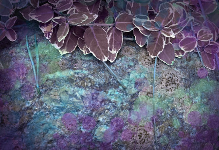 Photo background natural materials. beautiful textures of stones, leaves, trees, grass and moss. Bright turquoise-lilac range. Magic atmosphere of the forest, fairy tales and magic.の写真素材