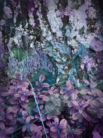 Photo background natural materials. beautiful textures of stones, leaves, trees, grass and moss. Bright turquoise-lilac range. Magic atmosphere of the forest, fairy tales and magic.の写真素材