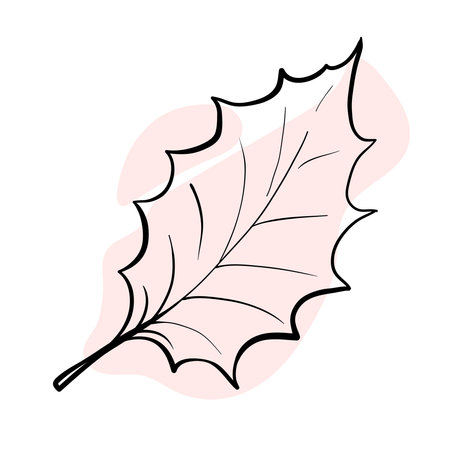 Stylish and beautiful line art. Tree leaf, nature and ecology.のイラスト素材