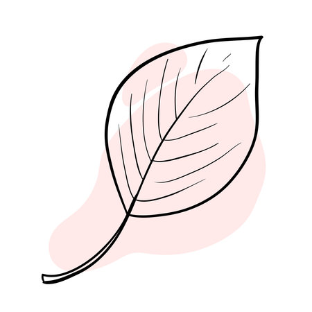 Stylish and beautiful line art. Tree leaf, nature and ecology.のイラスト素材