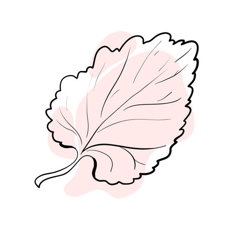Stylish and beautiful line art. Tree leaf, nature and ecology.のイラスト素材