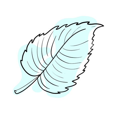 Stylish and beautiful line art. Tree leaf, nature and ecology.のイラスト素材