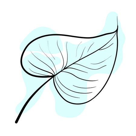 Stylish and beautiful line art. Tree leaf, nature and ecology.のイラスト素材