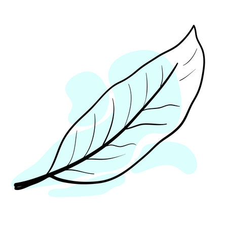 Stylish and beautiful line art. Tree leaf, nature and ecology.のイラスト素材