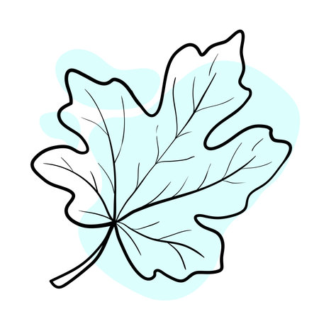 Stylish and beautiful line art. Tree leaf, nature and ecology.のイラスト素材