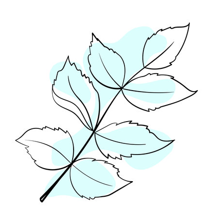Stylish and beautiful line art. Tree leaf, nature and ecology.のイラスト素材
