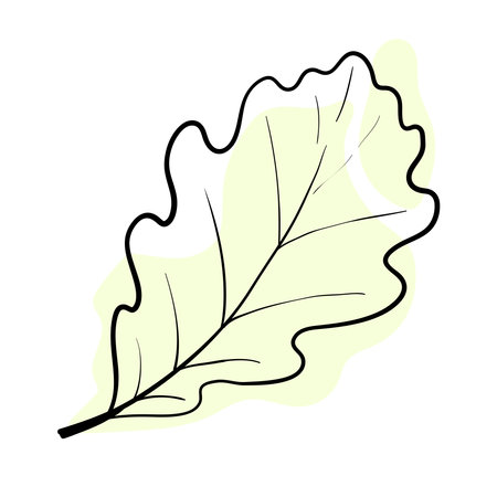 Stylish and beautiful line art. Tree leaf, nature and ecology.のイラスト素材