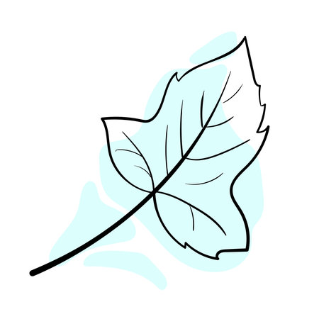 Stylish and beautiful line art. Tree leaf, nature and ecology.のイラスト素材