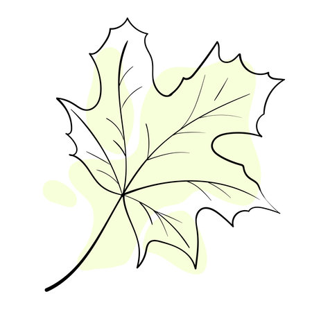 Stylish and beautiful line art. Tree leaf, nature and ecology.のイラスト素材