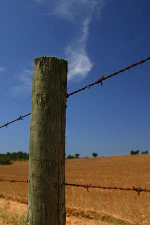 Barbed wire