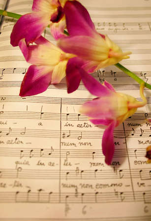 Music sheet and orchidの写真素材