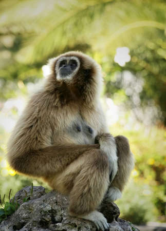 Thinkingの写真素材