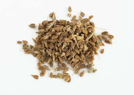 Fennel seedsの写真素材