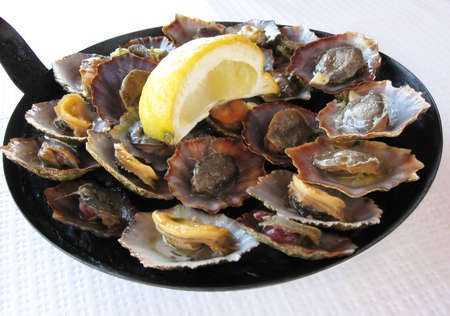 Limpetsの写真素材