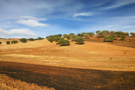 Rural landscapeの写真素材