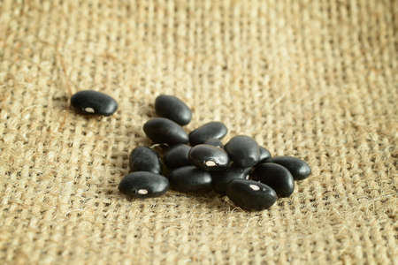 Black beansの写真素材
