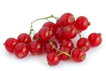 Red currantsの写真素材